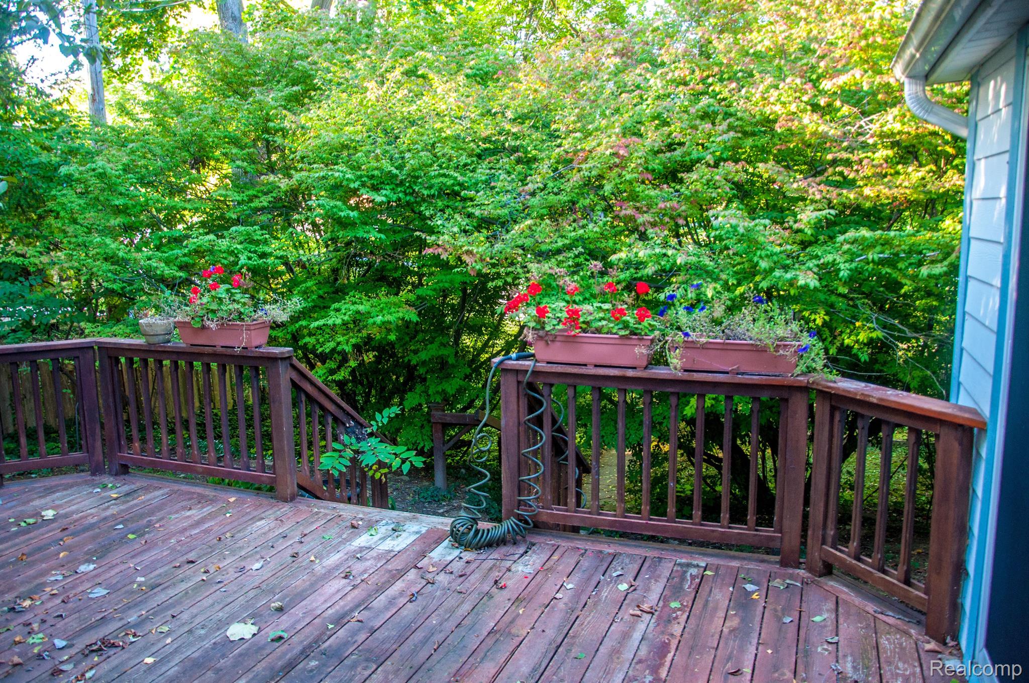 514 Harrison Street Rochester, MI 48307 - Photo 19 of 43 Gallery Image 19