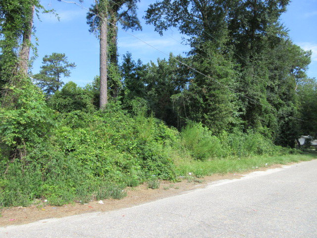 956 Meadowbrook Road Sumter, SC 29153 - Photo 3 of 7 Photo 3