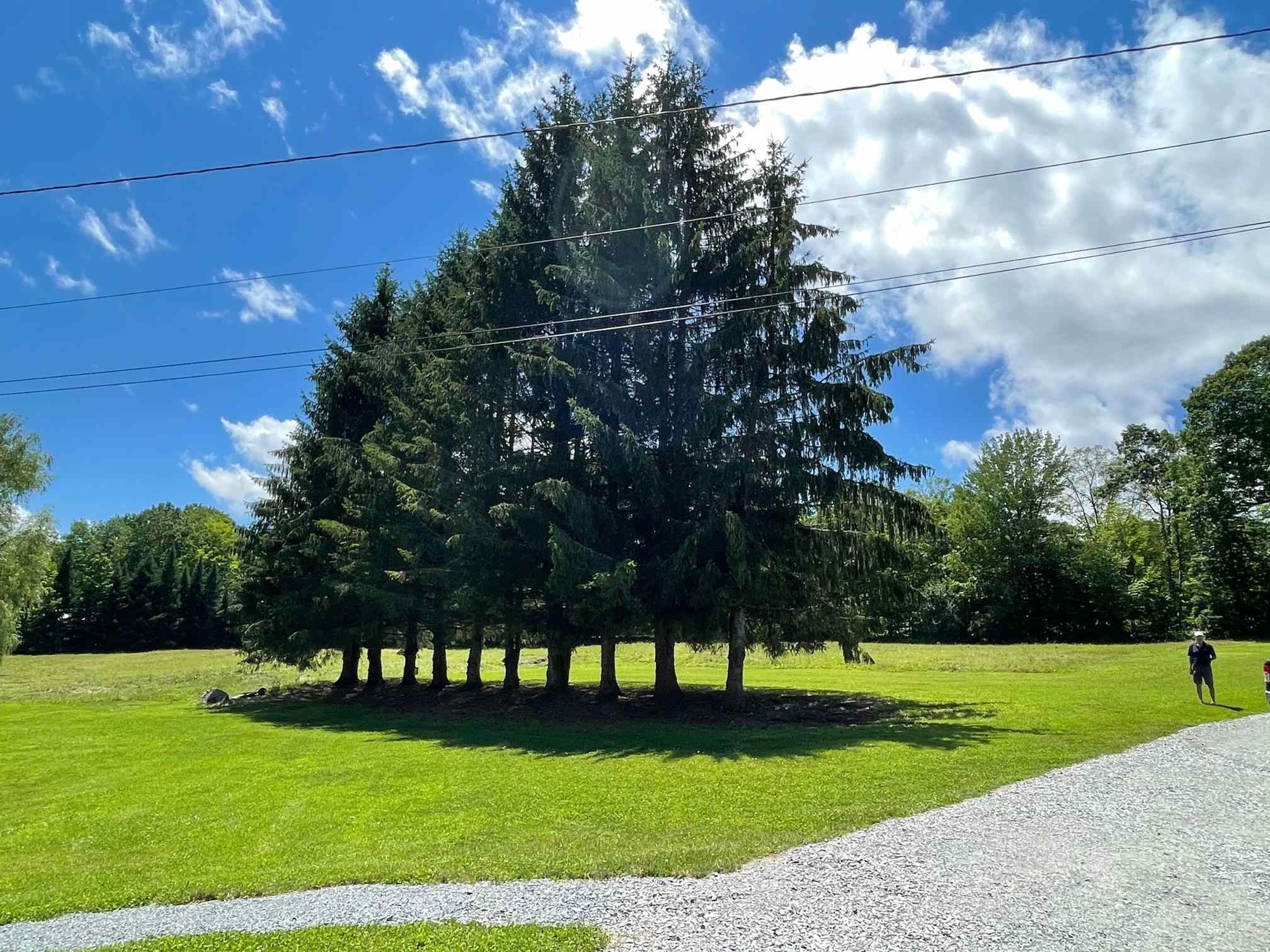 693 Eureka Road Springfield, VT 05156 - Photo 15 of 16