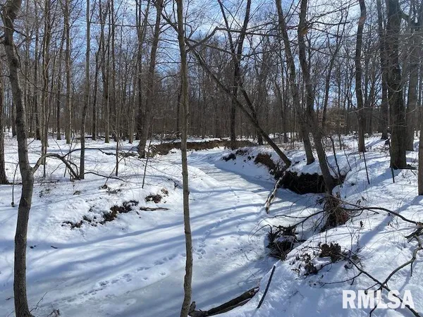 $118,380 | East 3000th Ave Flat North, Flat Rock, IL 62427