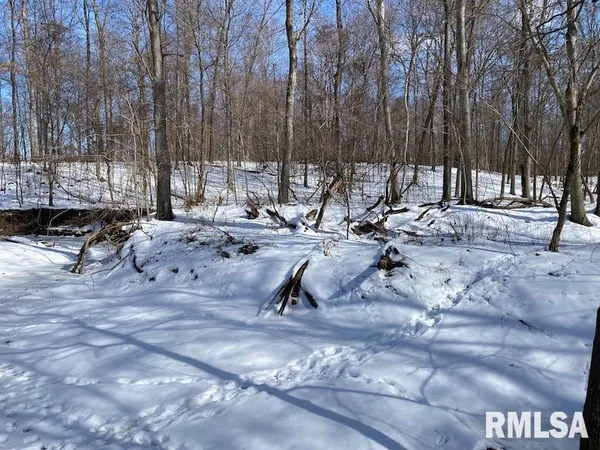 $118,380 | East 3000th Ave Flat North, Flat Rock, IL 62427