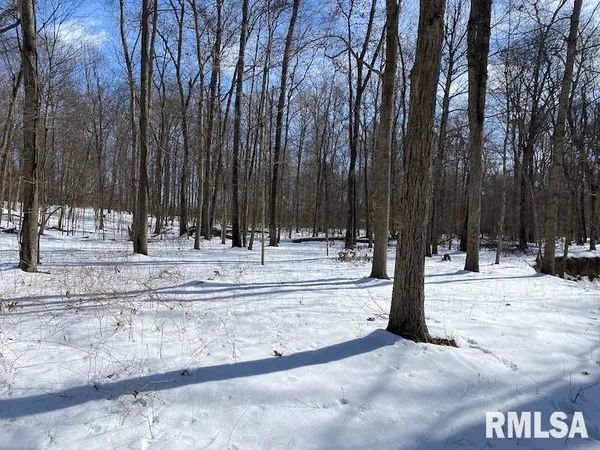 $118,380 | East 3000th Ave Flat North, Flat Rock, IL 62427