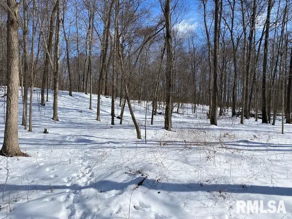 $118,380 | East 3000th Ave Flat North, Flat Rock, IL 62427