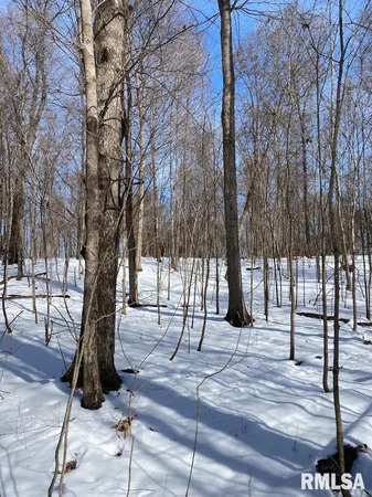 $118,380 | East 3000th Ave Flat North, Flat Rock, IL 62427