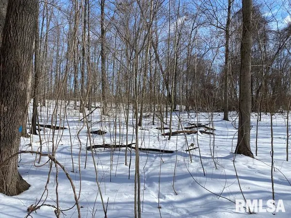 $118,380 | East 3000th Ave Flat North, Flat Rock, IL 62427