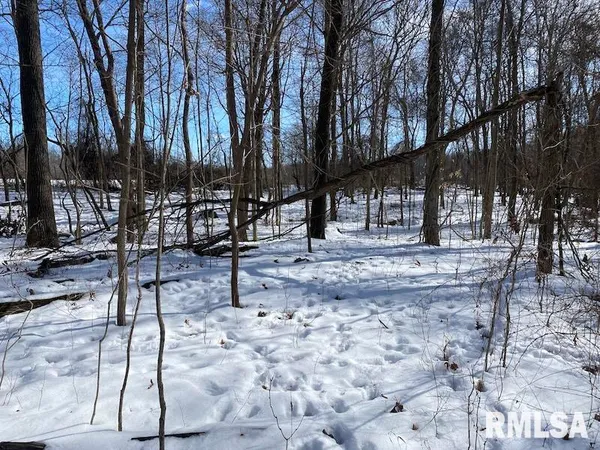 $118,380 | East 3000th Ave Flat North, Flat Rock, IL 62427