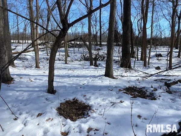 $118,380 | East 3000th Ave Flat North, Flat Rock, IL 62427