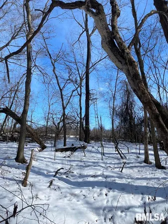 $118,380 | East 3000th Ave Flat North, Flat Rock, IL 62427