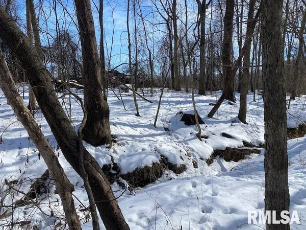 $118,380 | East 3000th Ave Flat North, Flat Rock, IL 62427