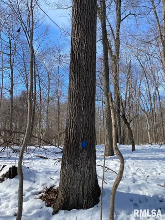 $118,380 | East 3000th Ave Flat North, Flat Rock, IL 62427