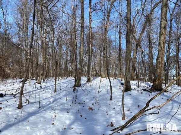 $118,380 | East 3000th Ave Flat North, Flat Rock, IL 62427