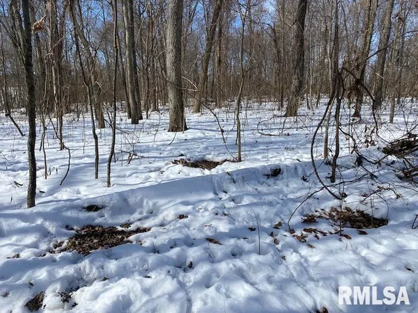 $118,380 | East 3000th Ave Flat North, Flat Rock, IL 62427