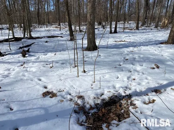 $118,380 | East 3000th Ave Flat North, Flat Rock, IL 62427