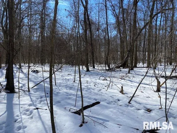 $118,380 | East 3000th Ave Flat North, Flat Rock, IL 62427