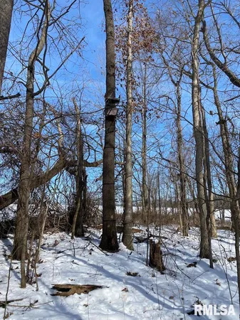 $118,380 | East 3000th Ave Flat North, Flat Rock, IL 62427