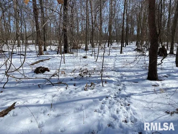 $118,380 | East 3000th Ave Flat North, Flat Rock, IL 62427