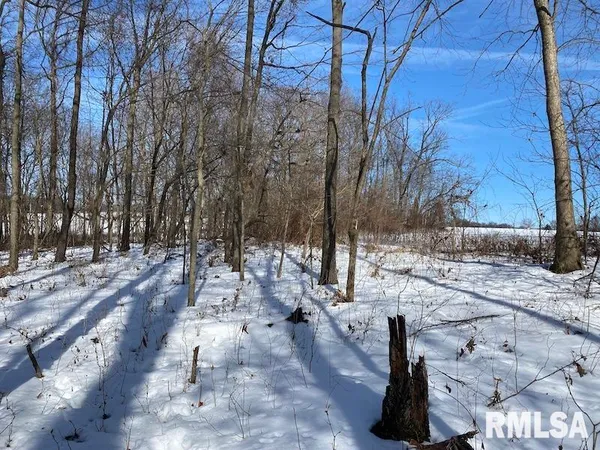 $118,380 | East 3000th Ave Flat North, Flat Rock, IL 62427