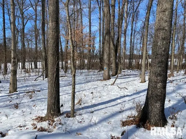 $118,380 | East 3000th Ave Flat North, Flat Rock, IL 62427