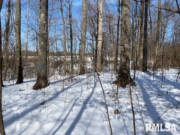 $118,380 | East 3000th Ave Flat North, Flat Rock, IL 62427