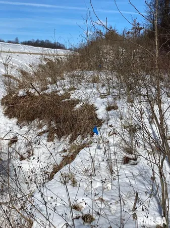 $118,380 | East 3000th Ave Flat North, Flat Rock, IL 62427