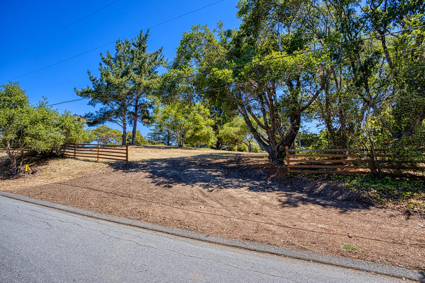 9757 Monroe Avenue Aptos, CA 95003 - Photo 3 of 13 a view of a yard with plants and trees