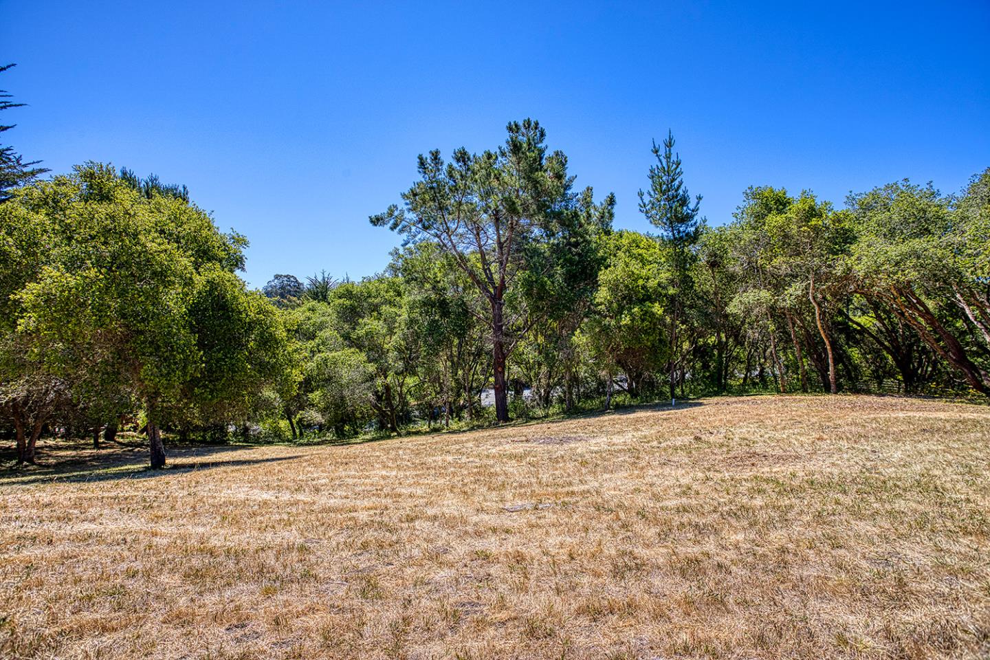 9757 Monroe Avenue Aptos, CA 95003 - Photo 4 of 13 a view of outdoor space with trees all around