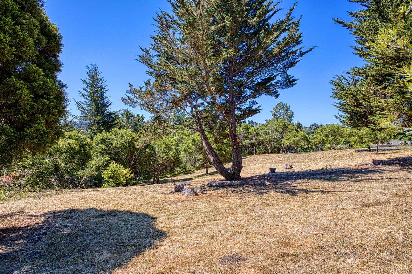 9757 Monroe Avenue Aptos, CA 95003 - Photo 5 of 13 a backyard of a house with large trees