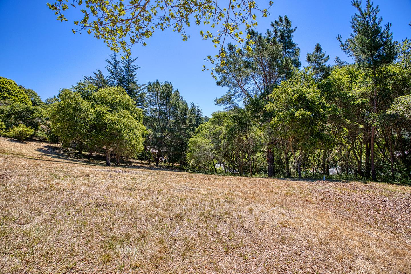 9757 Monroe Avenue Aptos, CA 95003 - Photo 6 of 13 a view of outdoor space and yard