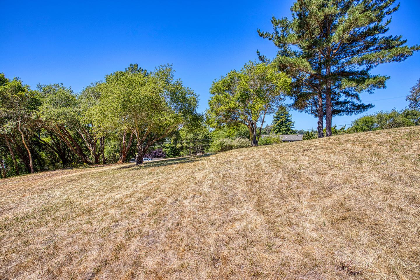 9757 Monroe Avenue Aptos, CA 95003 - Photo 7 of 13 a view of a backyard of a house
