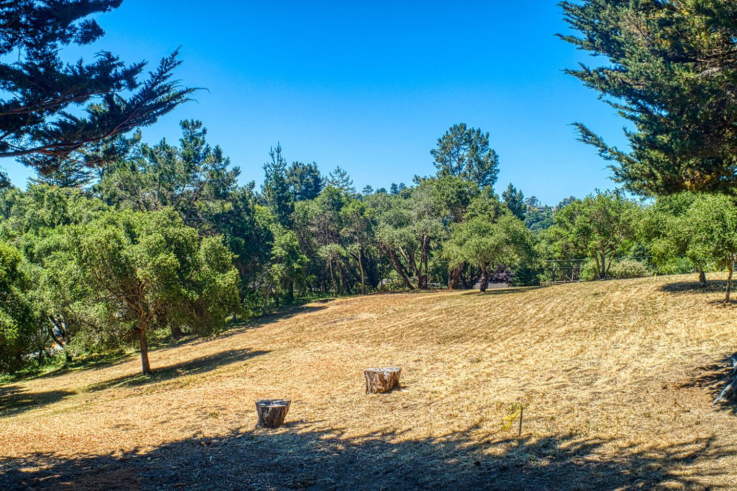 9757 Monroe Avenue Aptos, CA 95003 - Photo 9 of 13 a view of a yard with trees