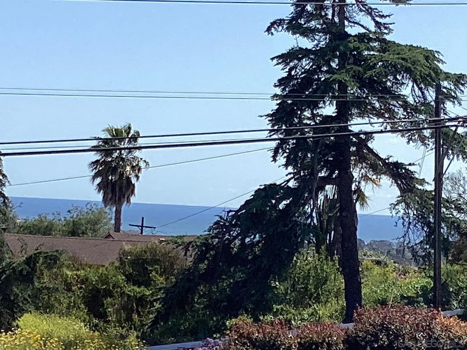 1838 Laurel Road Oceanside, CA 92054 - Photo 19 of 71 a view of a tree in a field