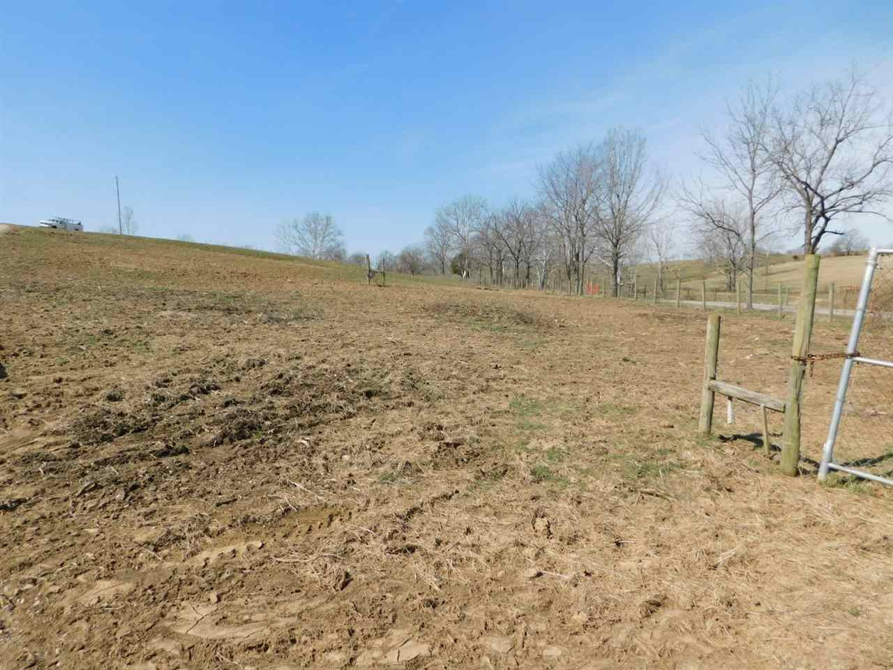369 Rutland Road Cynthiana, KY 41031 - Photo 17 of 25 Gallery Image 17