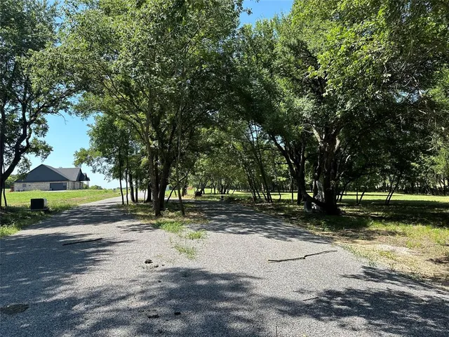 a view of a park with large trees