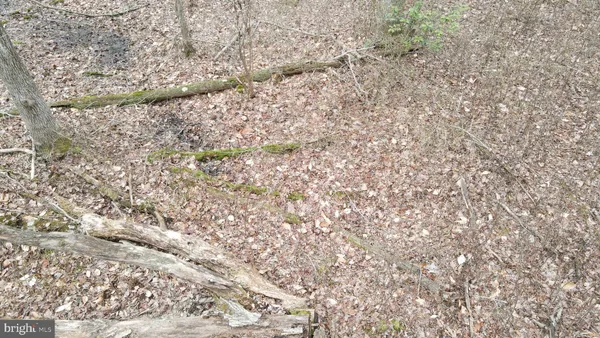 $550,000 | Bradford Johnson Road, Galena, MD 21635