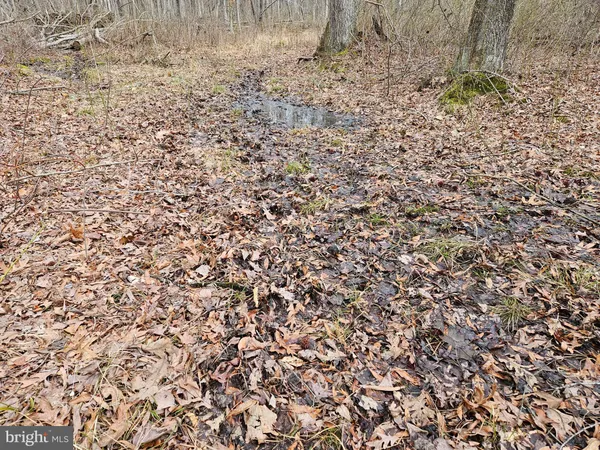 $550,000 | Bradford Johnson Road, Galena, MD 21635