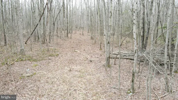 $550,000 | Bradford Johnson Road, Galena, MD 21635