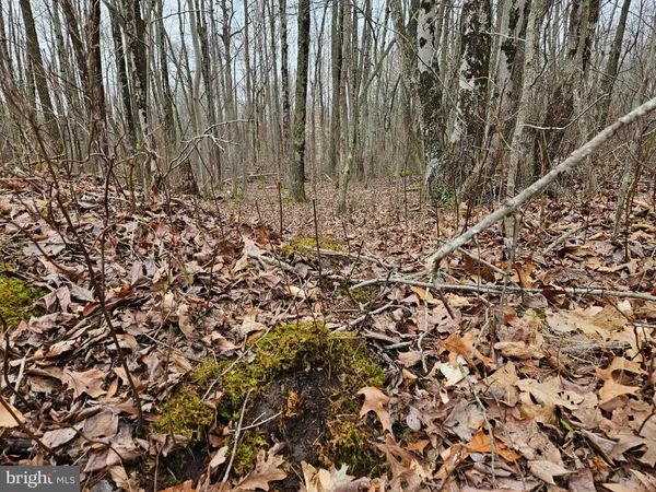 $550,000 | Bradford Johnson Road, Galena, MD 21635