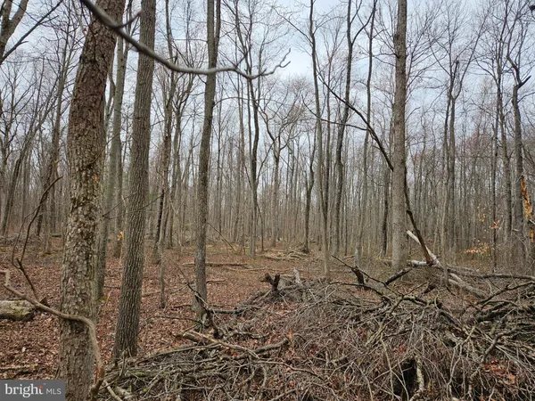 $550,000 | Bradford Johnson Road, Galena, MD 21635