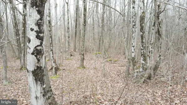 $550,000 | Bradford Johnson Road, Galena, MD 21635