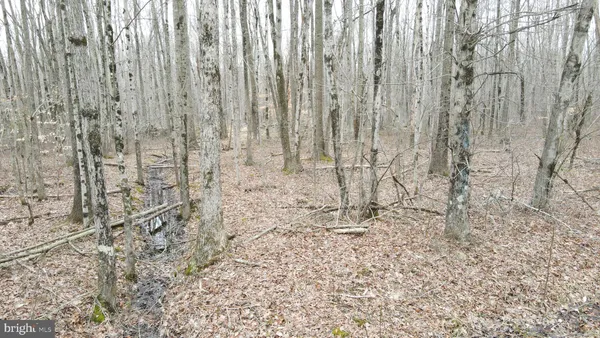 $550,000 | Bradford Johnson Road, Galena, MD 21635