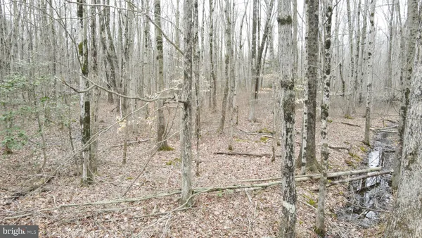 $550,000 | Bradford Johnson Road, Galena, MD 21635