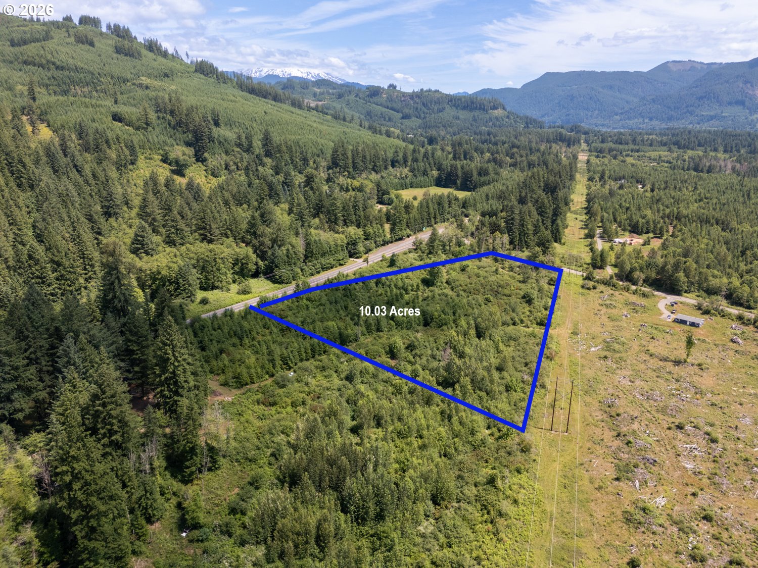 0 Yale Bridge Road Ariel, WA 98603 - Photo 5 of 7 a view of a forest with a mountain