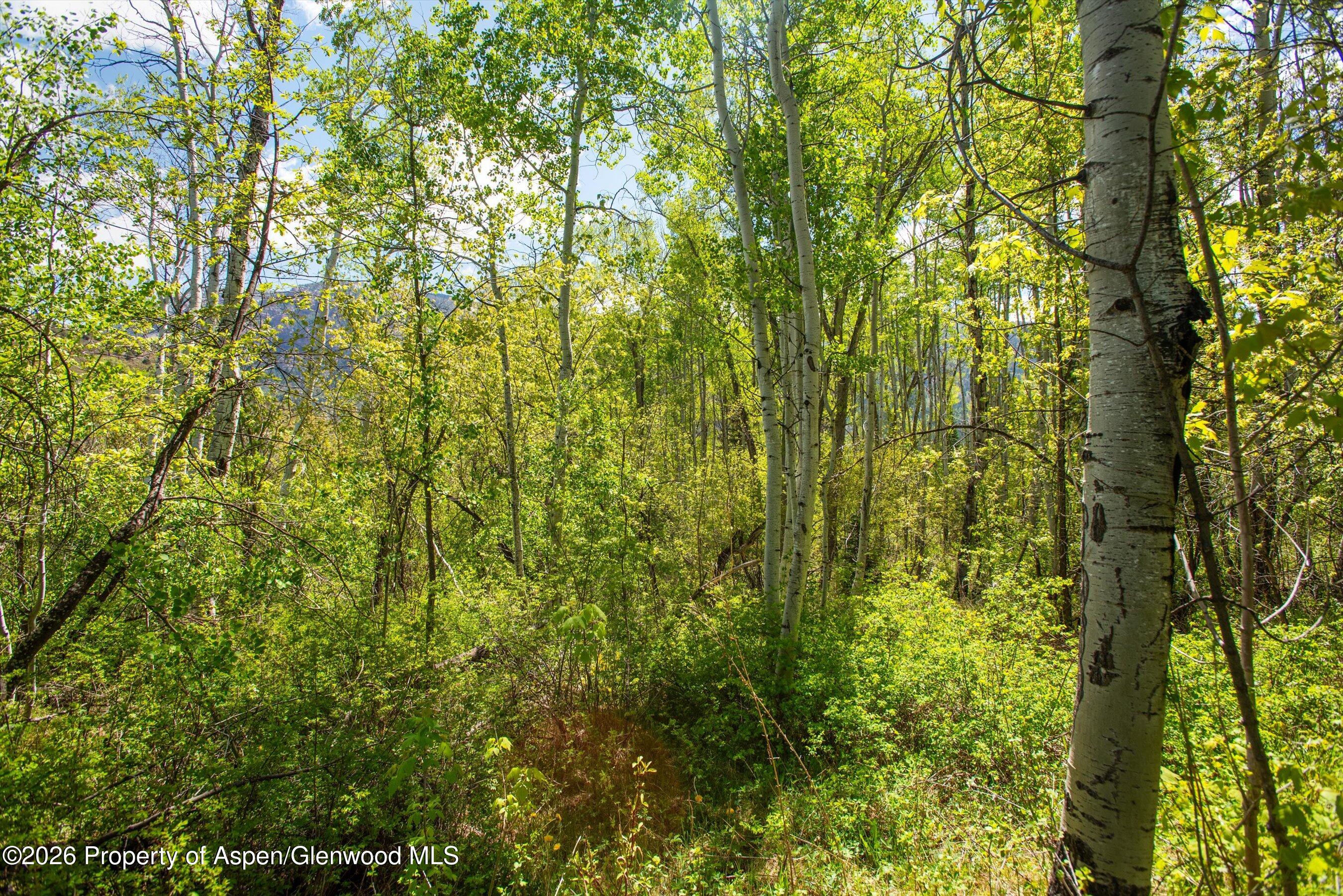 Tbd Coal Creek Road Carbondale, CO 81623 - Photo 4 of 12 05-CoalCreekRd_250520005