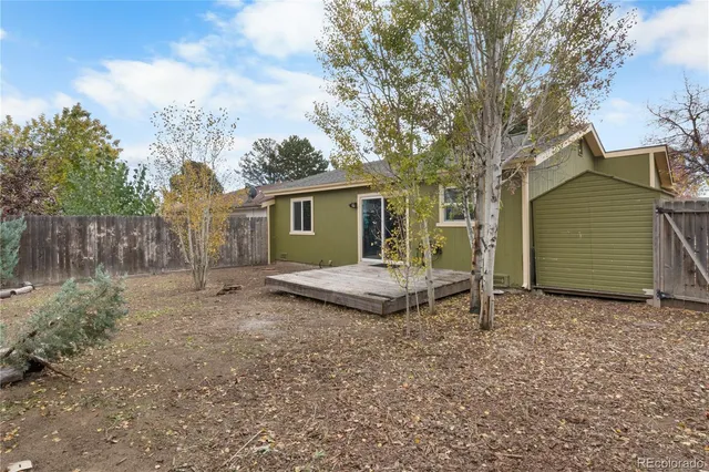 a view of a backyard with a tree