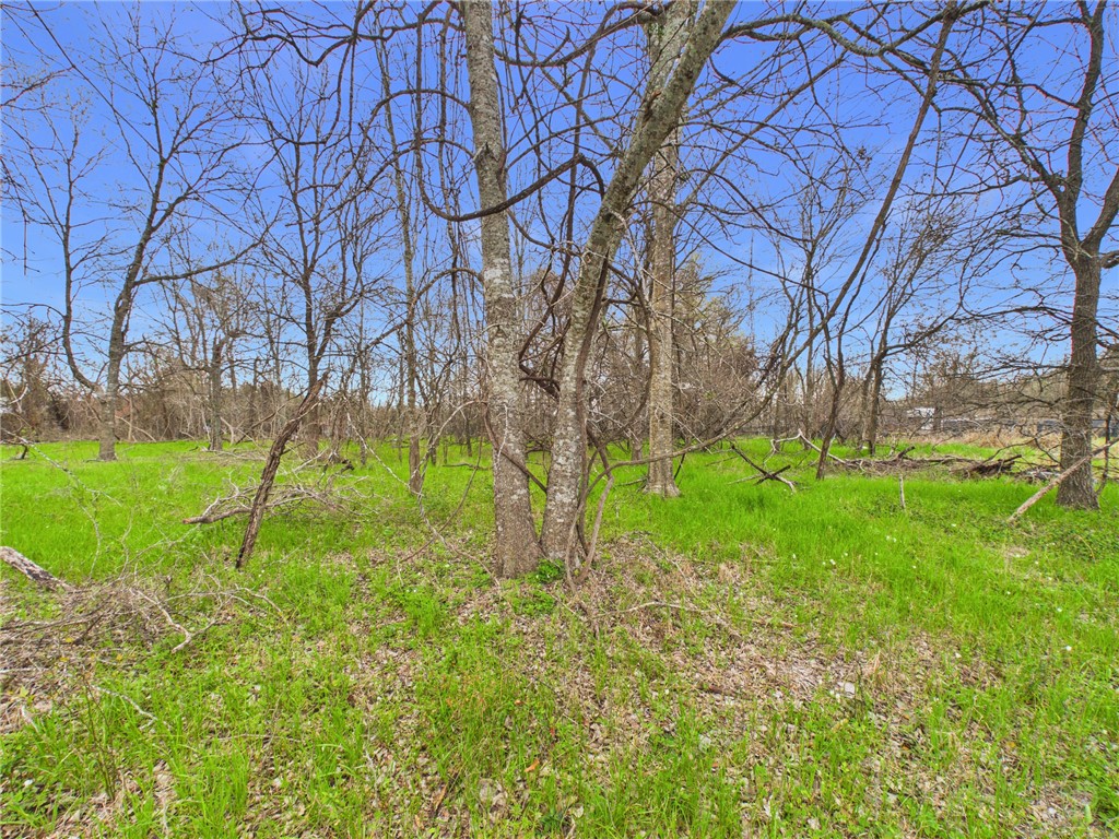 Tbd Railroad Road Somerville, TX 77879 - Photo 2 of 5