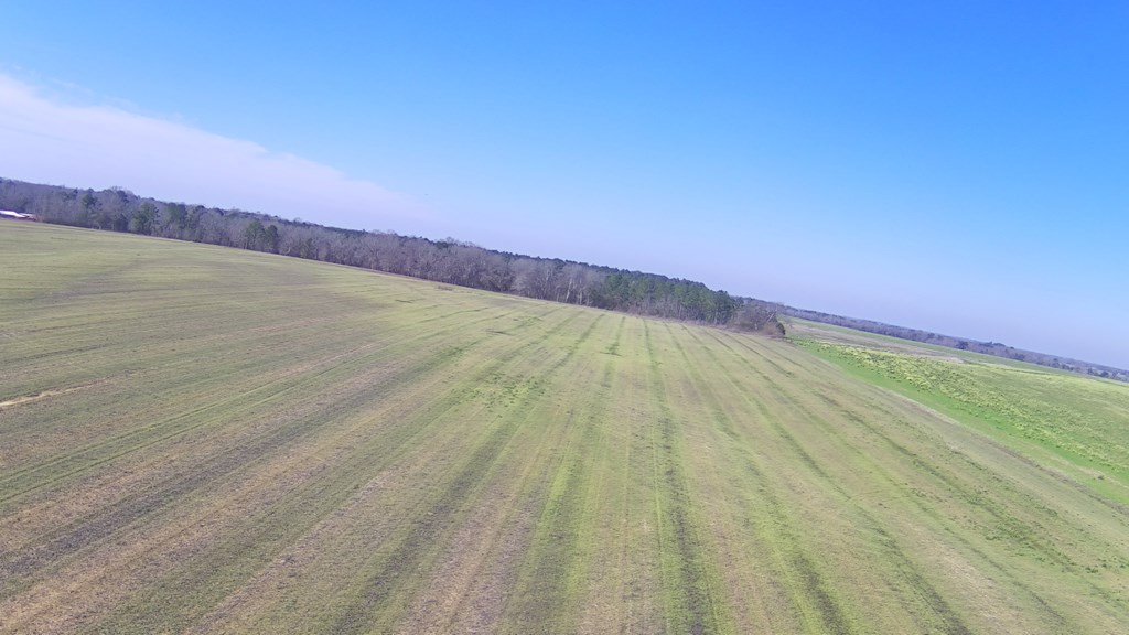4 Culver Road Newville, AL 36353 - Photo 5 of 6