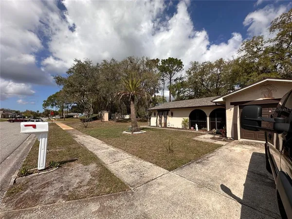 a view of a yard in front of house