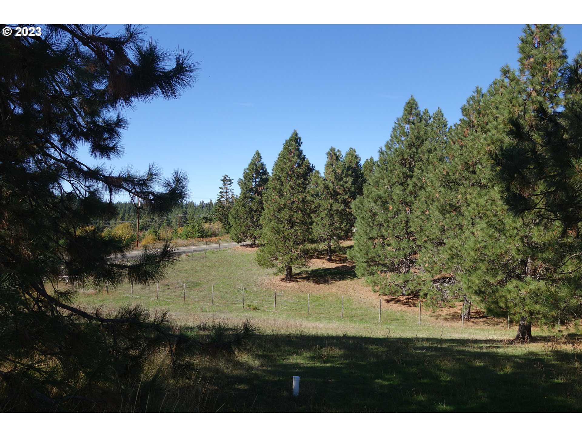 182 Bates Road White Salmon, WA 98672 - Photo 31 of 38 a view of lake view and trees