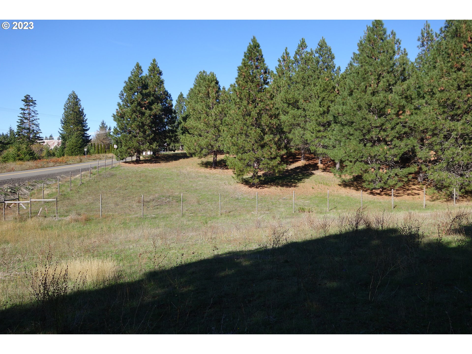 182 Bates Road White Salmon, WA 98672 - Photo 32 of 38 a view of a yard with a tree