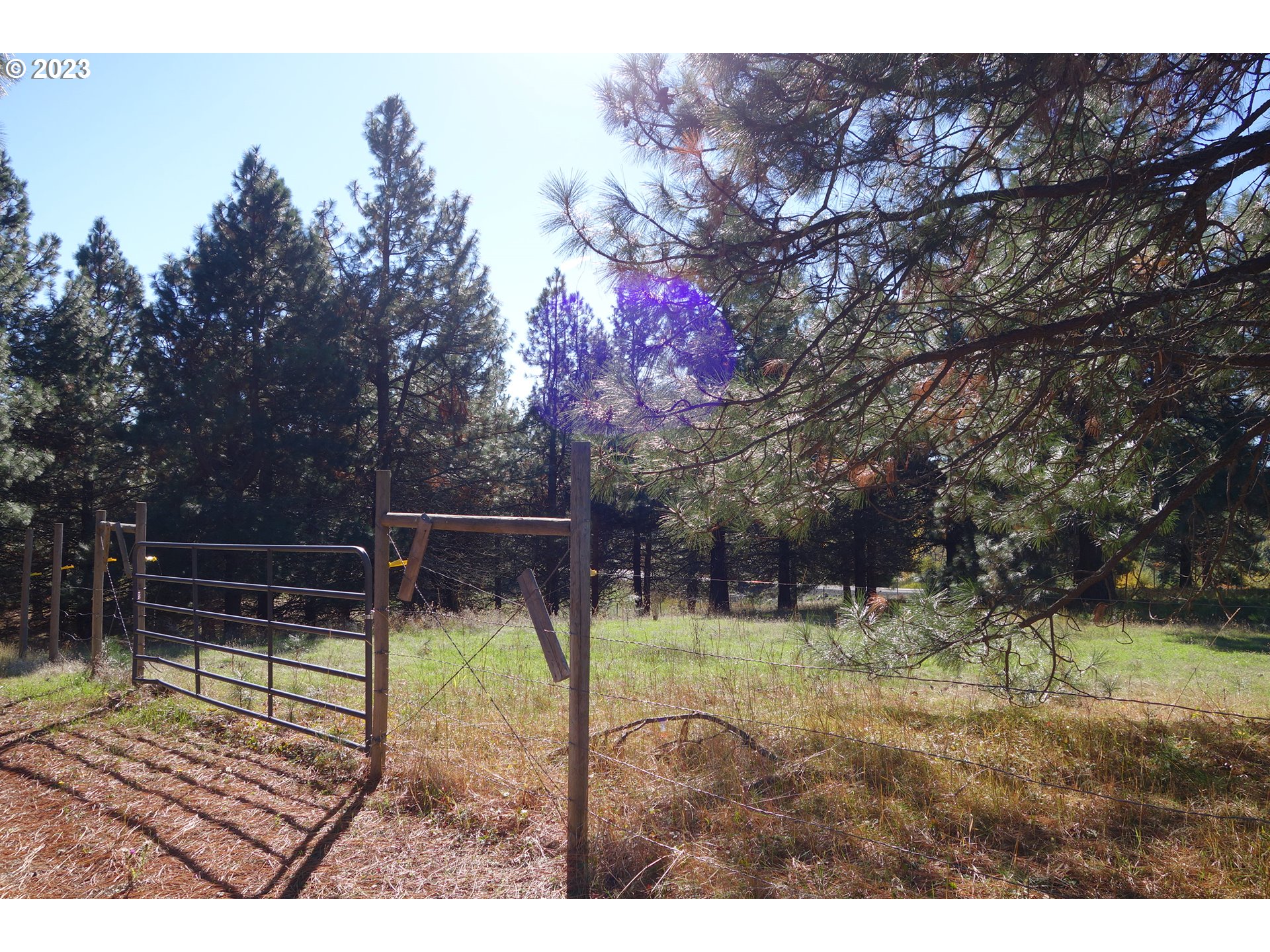 182 Bates Road White Salmon, WA 98672 - Photo 35 of 38 a view of a park